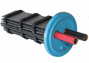 burpee tenderpod bean